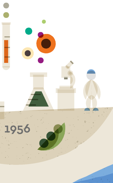 For the quality control of products, a laboratory was established.