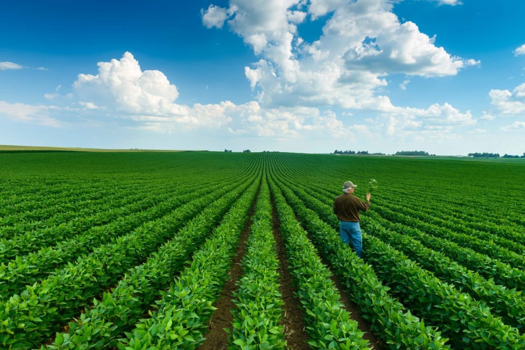 Sustainable soy