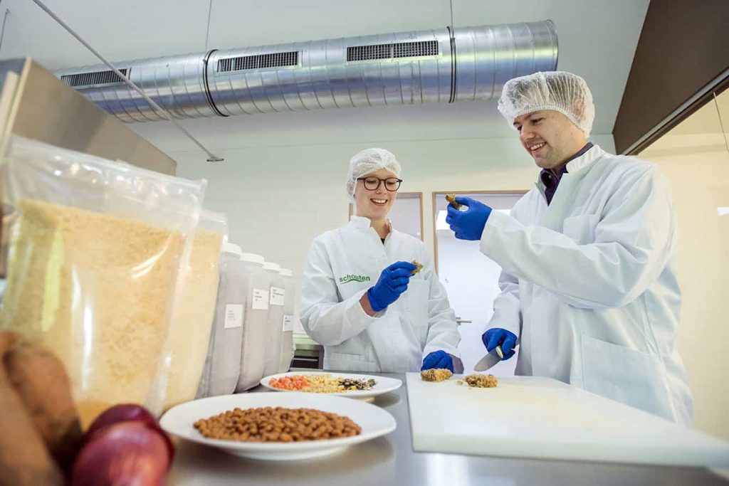 Development vegetarian and vegan products