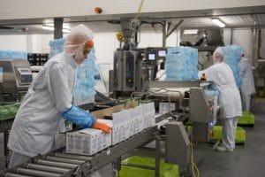 Meat substitutes: High care production and packaging facilities