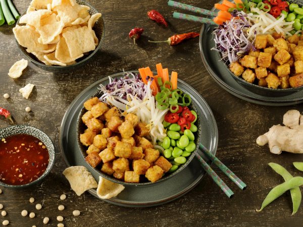Specialist in the development of vegan and plant-based products: Vegan Tempeh Cubes Soy Sauce, Ginger and Chilli