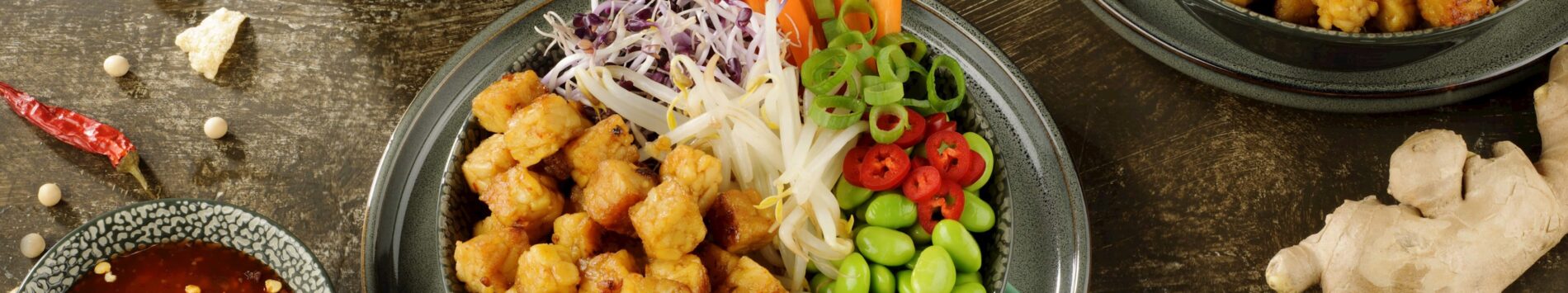 Gepasteuriseerd veganistisch tempeh blok.
