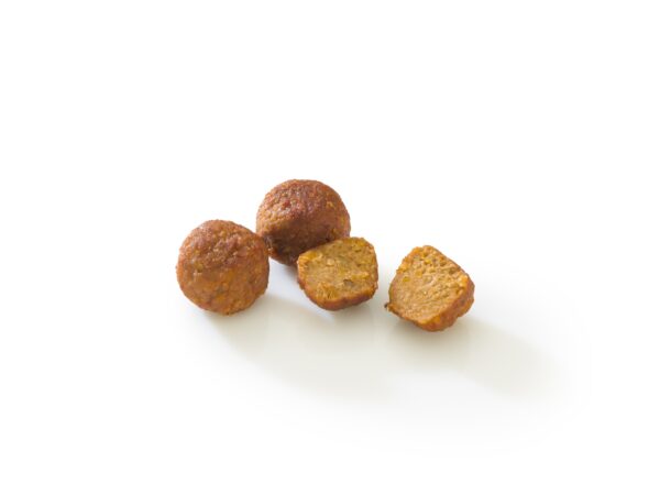 Specialist in the development of vegan and plant-based products: Vegan Power Bites