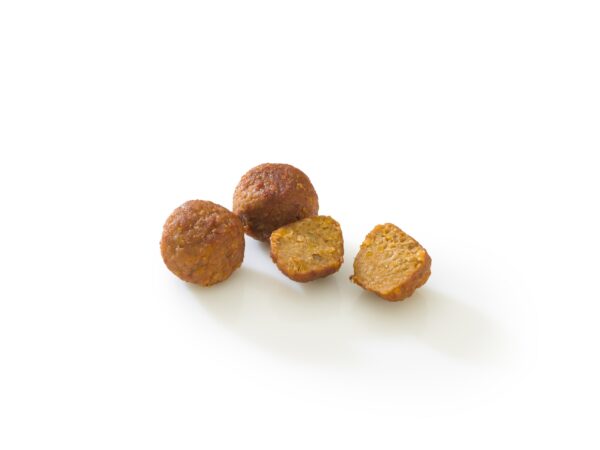 Specialist in the development of vegan and plant-based products: Vegan Power Bites